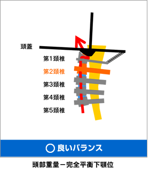 ǂoXdʁ|St{